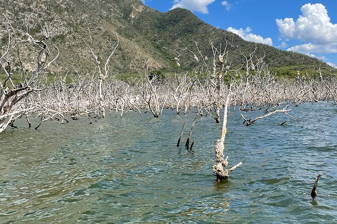 Crocodile Watching in Lago Enrriquillo, ALL INCLUSIVE - Pickup Information