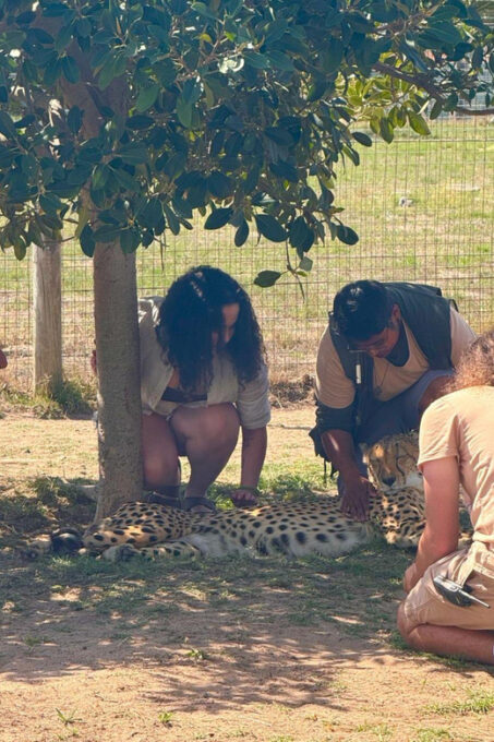 Crocodiles, Cheetahs, Lions + 14-Dish African Food Safari - 14-Dish Taste Safari