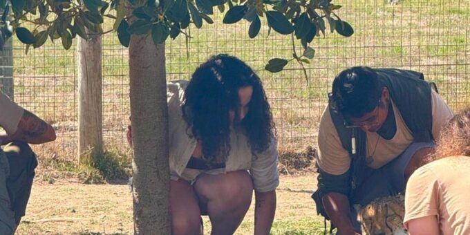Crocodiles, Cheetahs, Lions + 14-Dish African Food Safari - Wine Tasting Experience