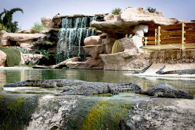 Crocoparc Tour From Agadir & Taghazout + Tickets - Key Crocoparc Features