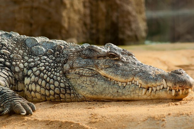 Crocoparc Tour From Agadir & Taghazout + Tickets - Included in the Tour
