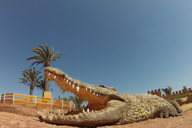 Crocoparc Tour From Agadir & Taghazout + Tickets - Visitor Ratings and Feedback