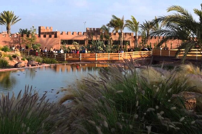 Crocoparc Tour From Agadir & Taghazout + Tickets - Morning or Afternoon Options