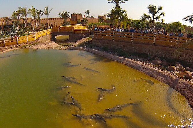 Crocoparc Tour From Agadir & Taghazout + Tickets - Location and Nearby Attractions