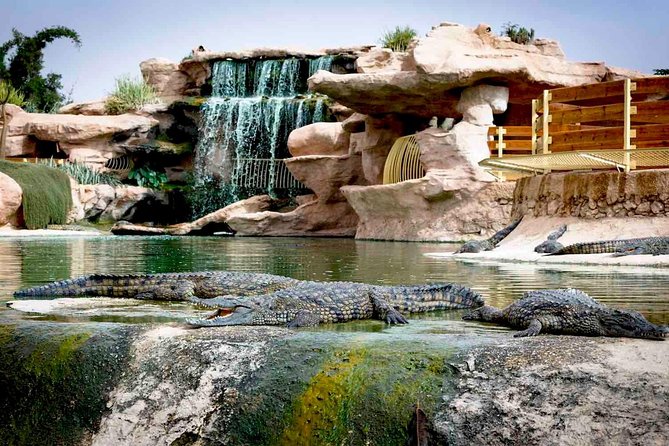 Crocopark Visit (Transport Included) - Transportation Details
