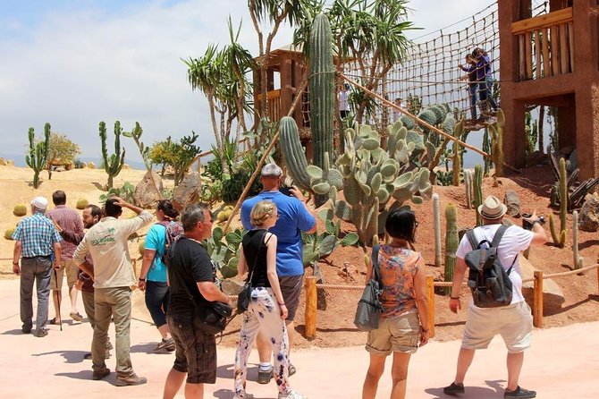 Crocopark Visit (Transport Included) - Inclusions