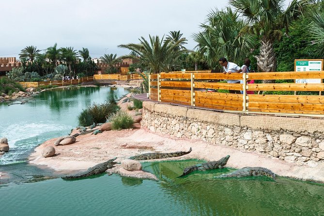 Crocopark Visit (Transport Included) - Public Transportation
