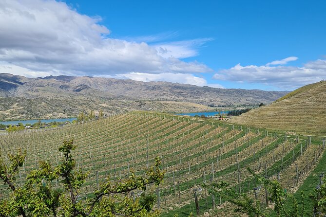 Cromwell Wine Tasting Tour Using Classic Car - Accessibility & Participation