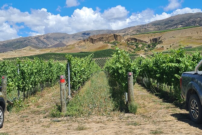 Cromwell Wine Tasting Tour Using Classic Car - Booking Flexibility