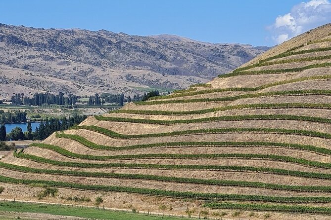 Cromwell Wine Tasting Tour Using Classic Car - Exploring Cromwells Vineyards