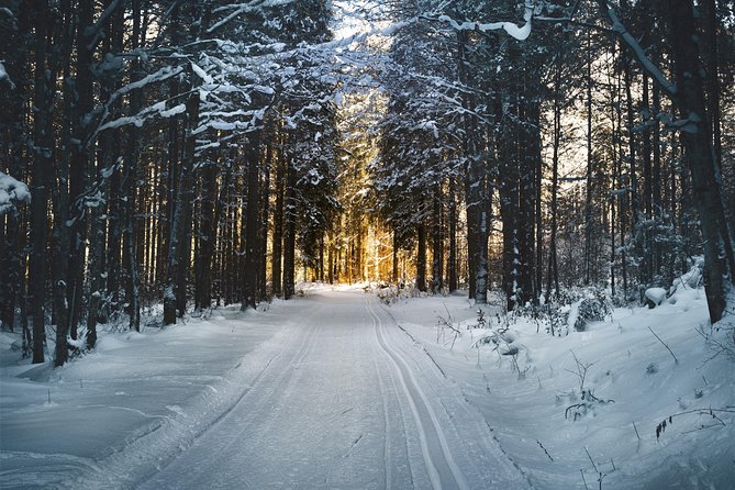 Cross-Country Skiing Guided Tour From Prague - Skill Levels and Customization