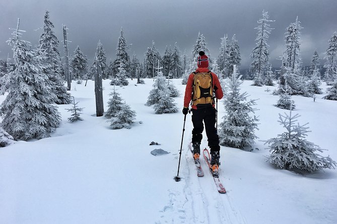 Cross-Country Skiing Guided Tour From Prague - Instructor Assistance