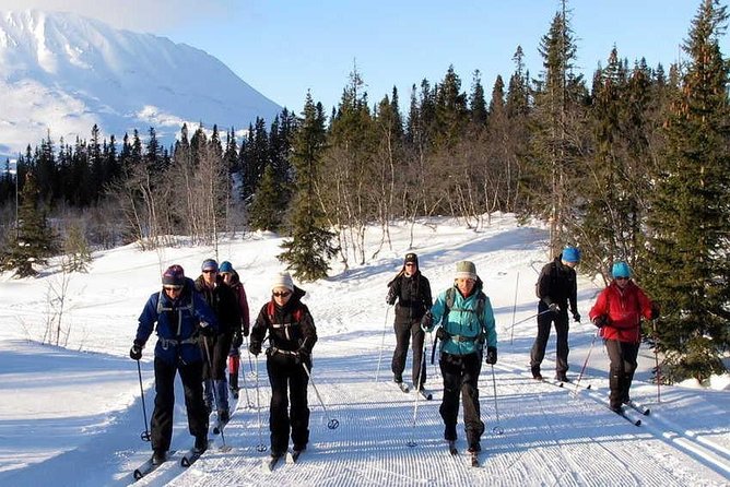 Cross-Country Skiing Guided Tour From Prague - Pricing and Group Size