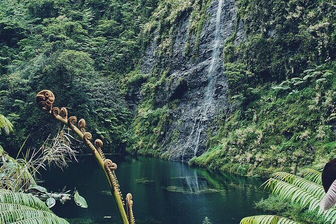 Crossing Over Tahiti Island Safari 4x4 - An Adventure Into Tahiti’s Heart