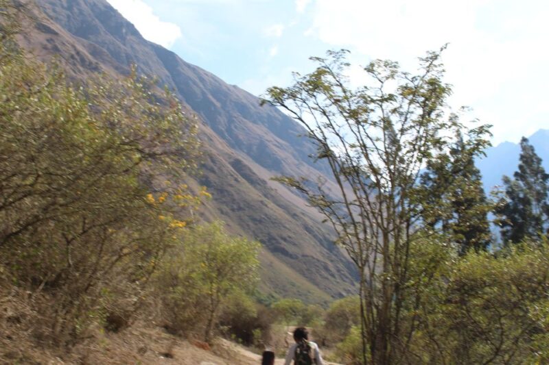 Crossing the Andes and the Amazon - Inca Trail Trekking Experience