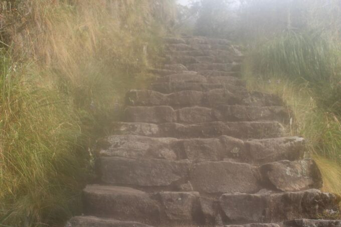 Crossing the Andes and the Amazon - What to Expect and Prepare For