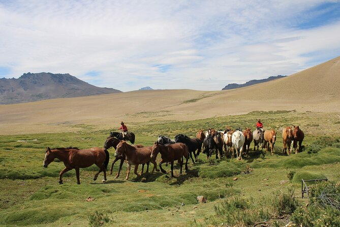 Crossing the Andes on Horseback in a 5-Day Tour - Meals and Accommodation