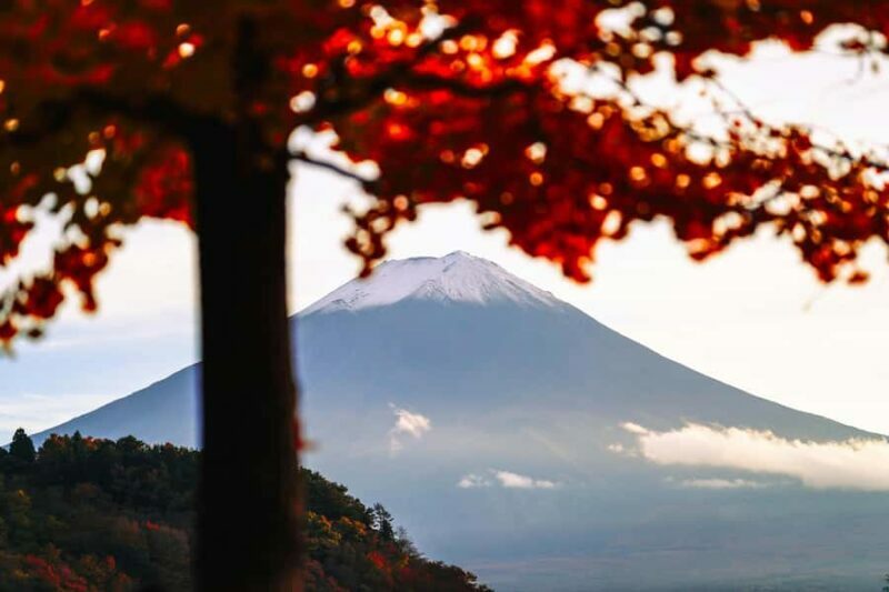 Crowd-Free Hidden Spots - Mt.Fuji Private Luxurious Car Tour - Discover Mount Fuji’s Hidden Corners with a Private Luxurious Car Tour
