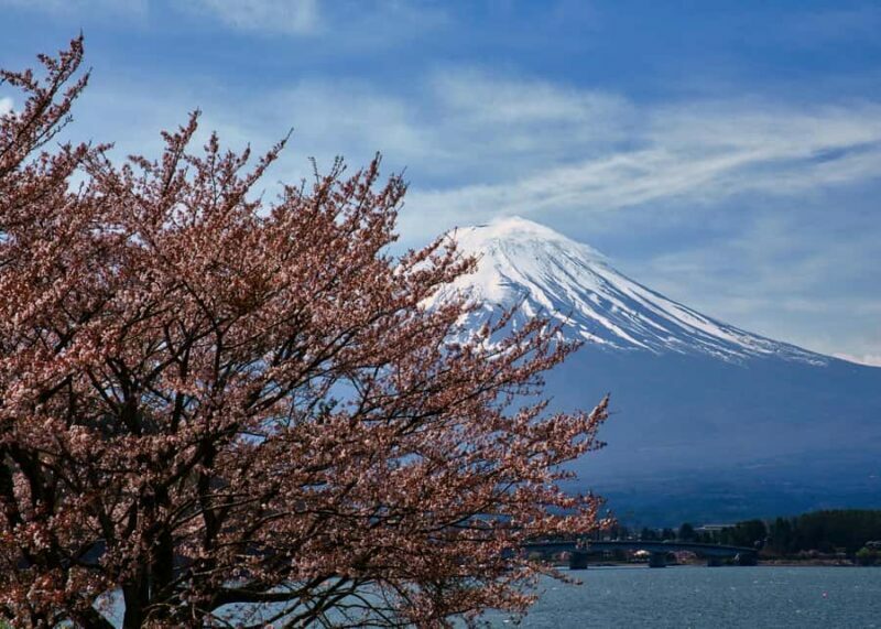 Crowd-Free Hidden Spots - Mt.Fuji Private Luxurious Car Tour - Who Should Consider This Tour?