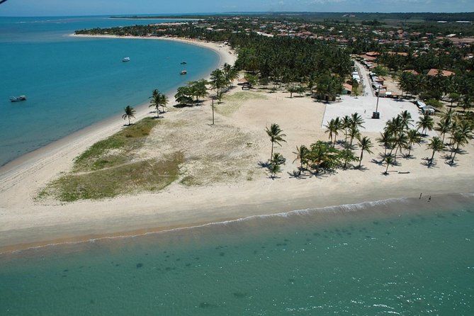 Crown Red - Discovery Coast - Day Trip From Porto Seguro - Key Points