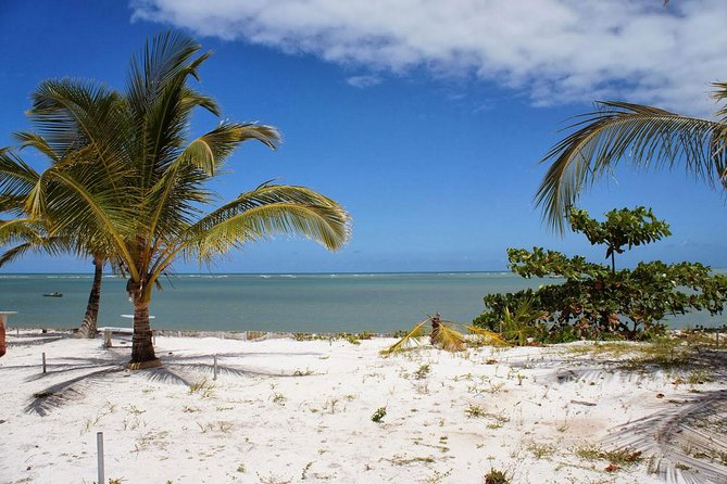 Crown Red - Discovery Coast - Day Trip From Porto Seguro - Inclusions and Exclusions