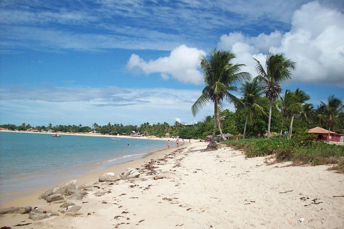 Crown Red - Discovery Coast - Day Trip From Porto Seguro - Reviews
