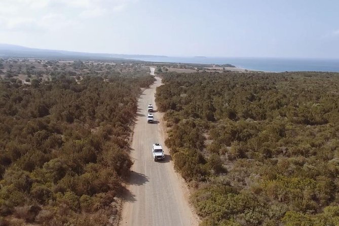 Cruise and 4X4 Safari Tour at Akamas Peninsula From Limassol - Activity Requirements and Conditions