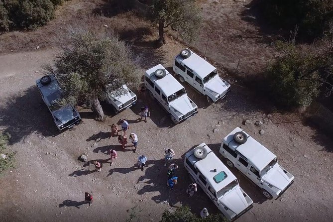 Cruise and 4X4 Safari Tour at Akamas Peninsula From Paphos - Meeting Points and Pickup Details