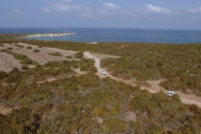Cruise and 4X4 Safari Tour at Akamas Peninsula From Paphos - Blue Lagoon Boat Cruise