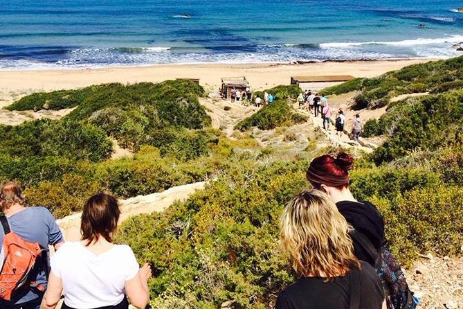 Cruise and 4X4 Safari Tour at Akamas Peninsula From Paphos - Booking and Cancellation Policy