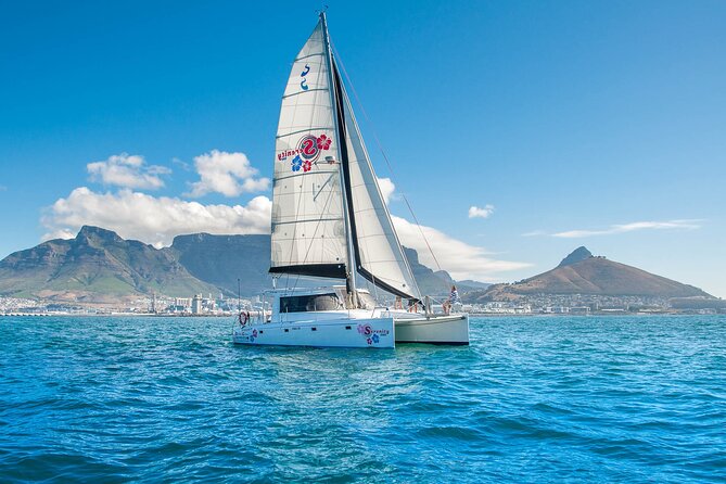 Cruise and Dine Dinner / Cape Town: Sunset Champagne Cruise and 3-Course Dinner - Champagne Cruise Experience