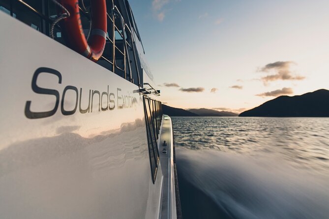 Cruise and Lunch at Furneaux Lodge - Pricing and Booking Options