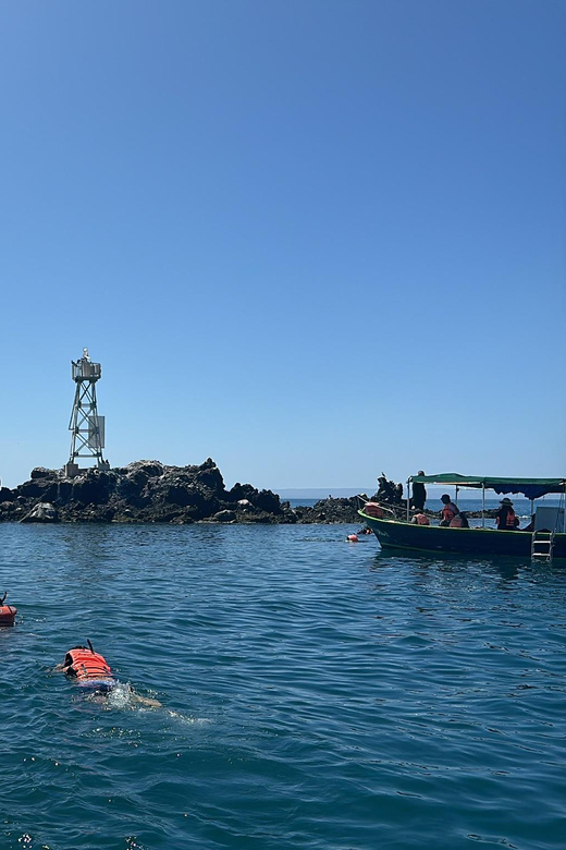 Cruise Date Delight! La Paz: Swim With Sea Lions! - Highlights and Experiences