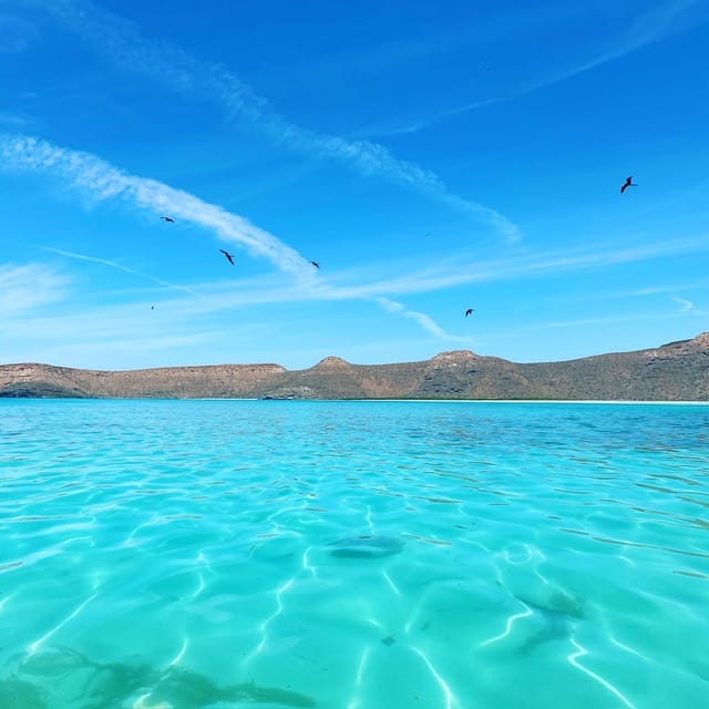 Cruise Date Delight! La Paz: Swim With Sea Lions! - Preparing for the Adventure