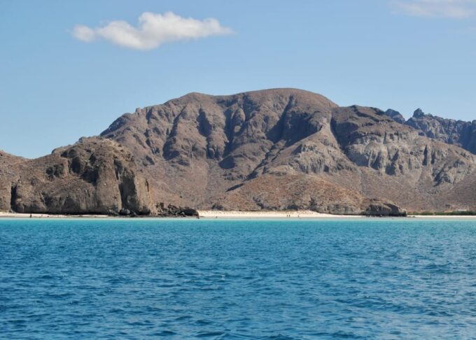 Cruise Date Delight! La Paz: Swim With Sea Lions! - Capturing Memorable Moments