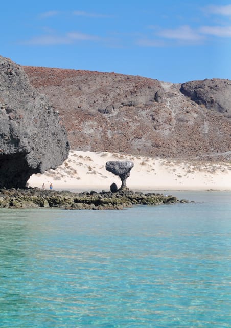 Cruise Date Delight! La Paz: Swim With Sea Lions! - Frequently Asked Questions