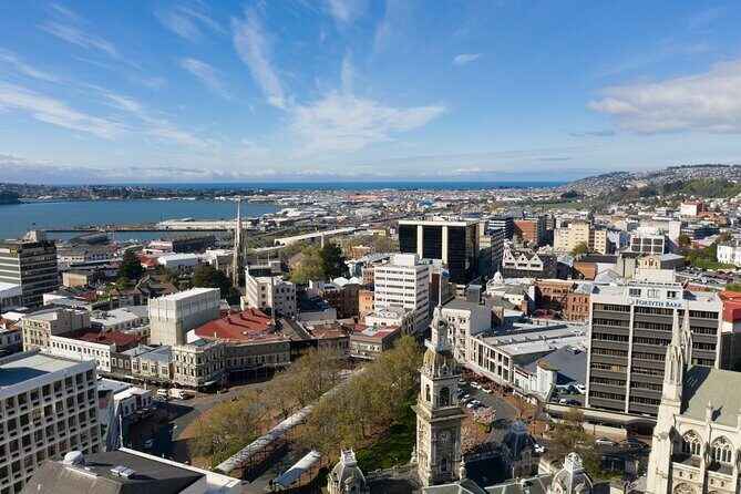 Cruise Dunedin City and Castle Tour - An In-Depth Look at the Dunedin Experience