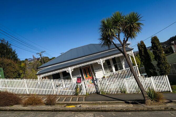 Cruise Dunedin City and Castle Tour - Final Thoughts