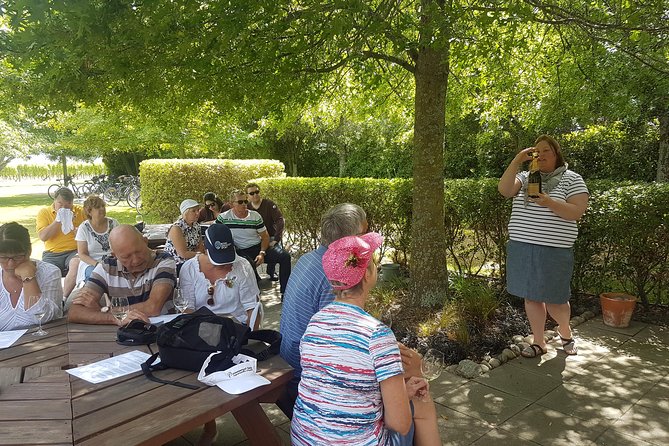 Cruise Excursion - Wines of Marlborough Tour - Inclusions and Logistics