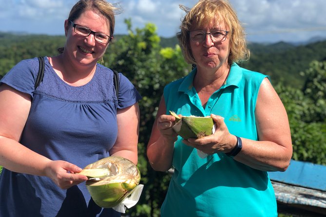 Cruise Excursions in St. Lucia - Discovering Marigot Bay
