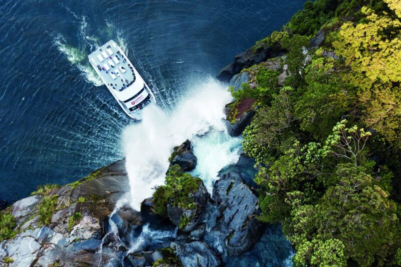 Cruise & Kayak Milford Sound - Key Points