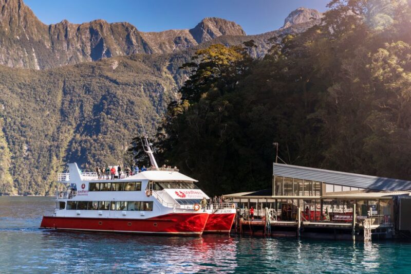 Cruise & Kayak Milford Sound - Suitability and Requirements