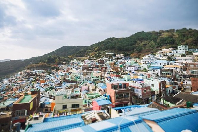 Cruise Layover : Small Group Busan Essential Tour - Itinerary Highlights