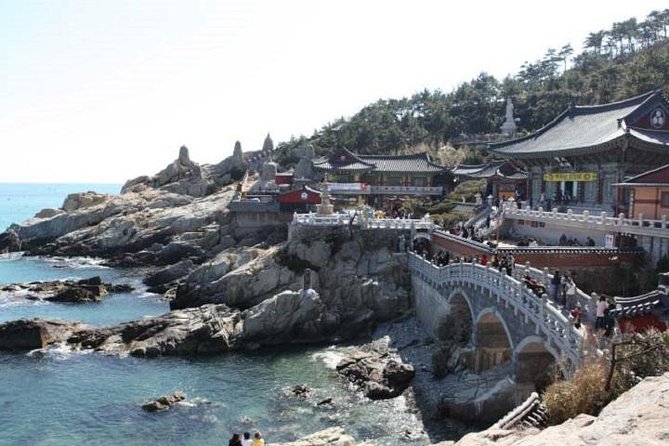 Cruise Layover : Small Group Busan Essential Tour - Guide and Experience