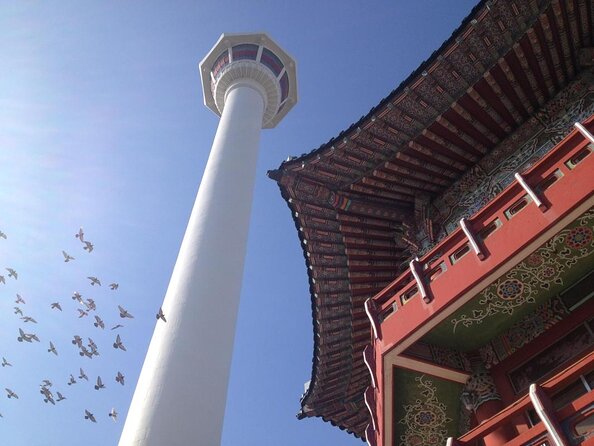 Cruise Layover : Small Group Busan Highlight Day Tour - Booking Information