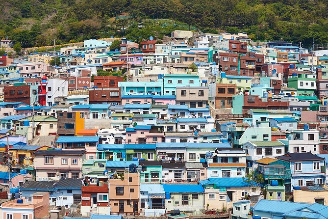 Cruise Layover : Small Group Busan Highlight Day Tour - Customer Reviews and Experiences