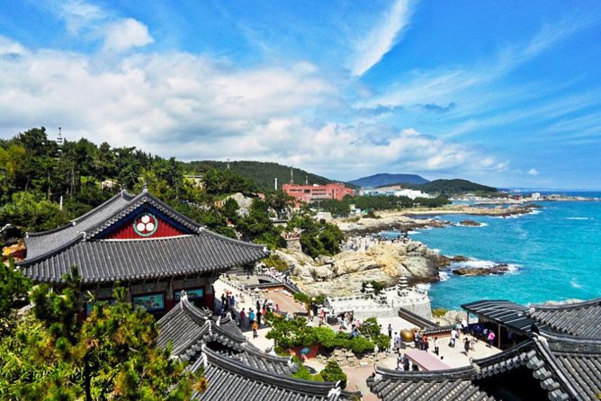 Cruise Layover : Small Group Busan Highlight Day Tour - Discovering Gamcheon Culture Village