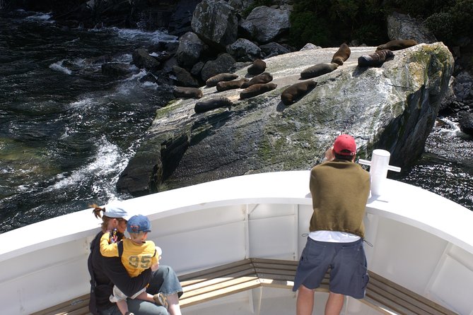Cruise Milford NZ Small Boutique Cruise Experience - Parking and Accessibility