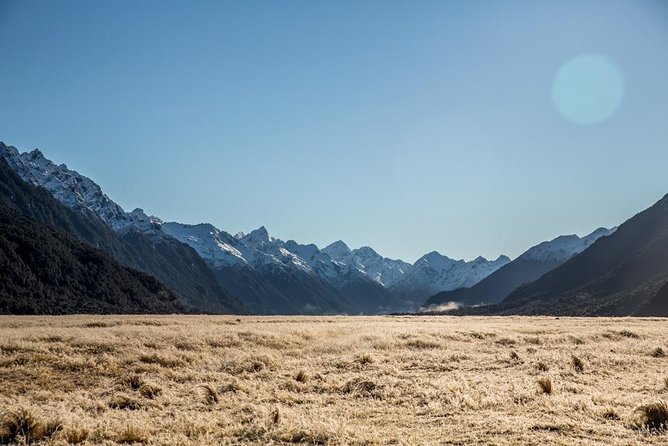 Cruise Milford Small Group Day Tour From Queenstown - Tour Details
