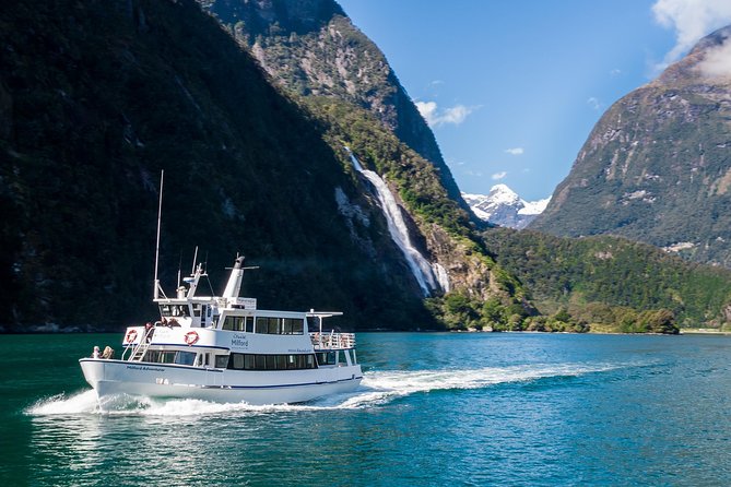 Cruise Milford Small Group Day Tour From Queenstown - Customer Feedback